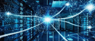 海关数据到底是什么