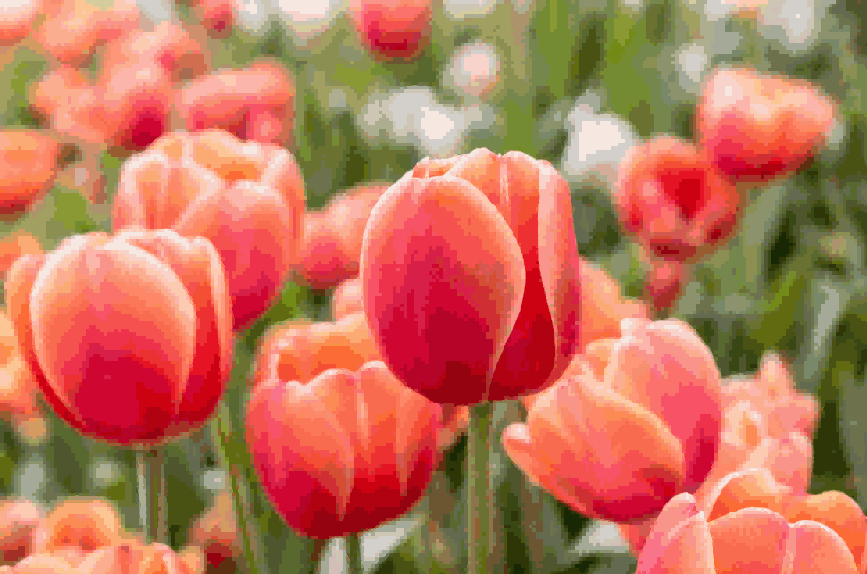 海关数据,凯发K8天生赢家一触即发海关数据,荷兰海关数据